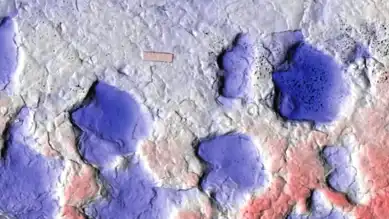 Kanada'da Yeni Zırhlı Dinozor Keşfi!